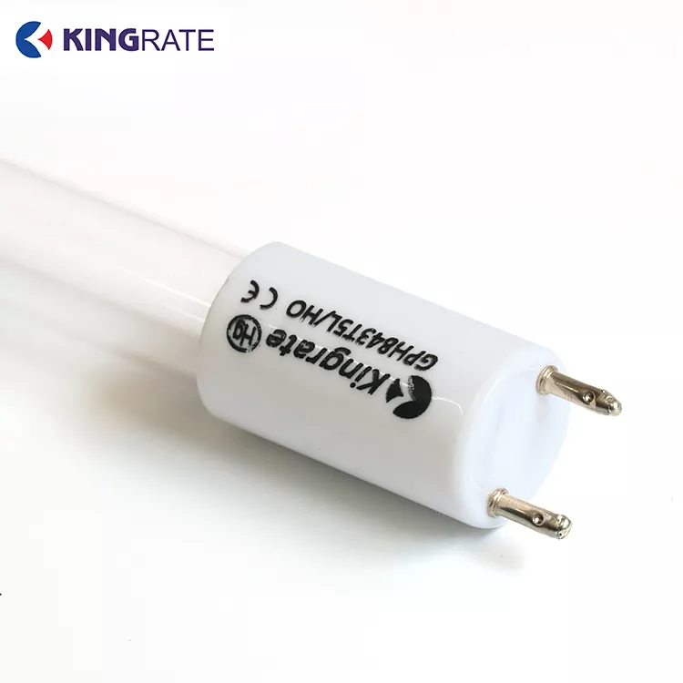 Visokoenergijska dvopasovna UV svetilka